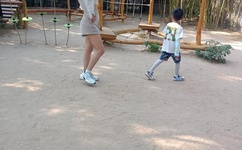 亚洲高清自有吗中文字